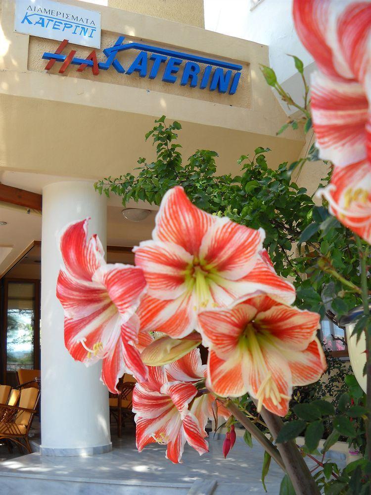 Katerini Apartments Hotel Platanias Extérieur photo
