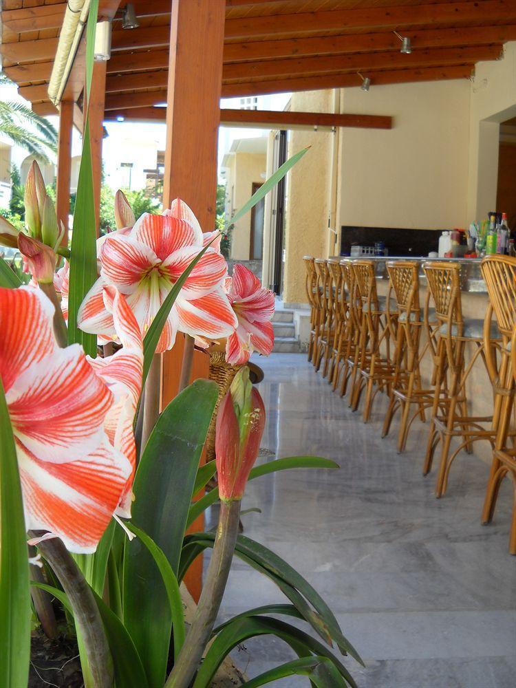 Katerini Apartments Hotel Platanias Extérieur photo