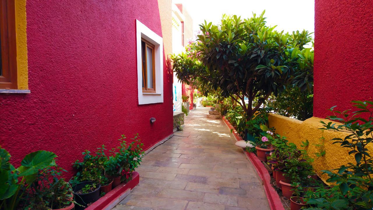 Katerini Apartments Hotel Platanias Extérieur photo
