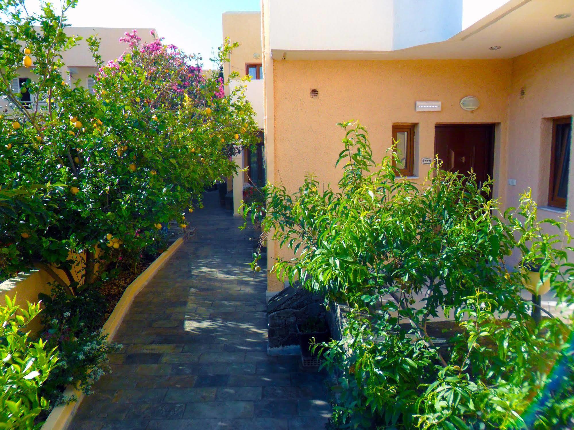 Katerini Apartments Hotel Platanias Extérieur photo